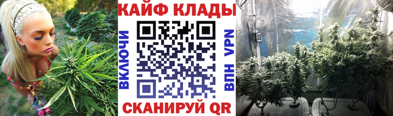 Где купить наркотики Павлово Альфа ПВП АМФЕТАМИН Кокаин Бошки Шишки