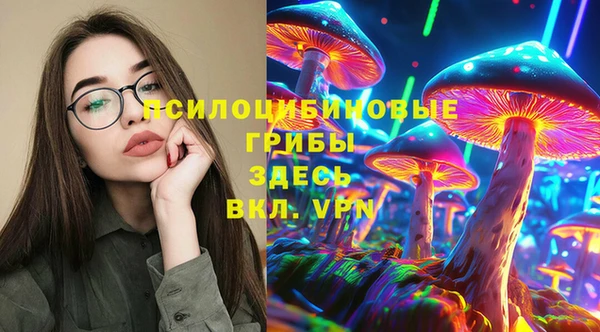 стаф Новодвинск