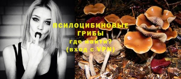 гашиш Надым