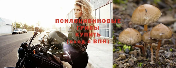 тгк Нефтегорск