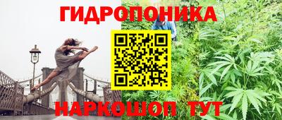 гидра Ирбит