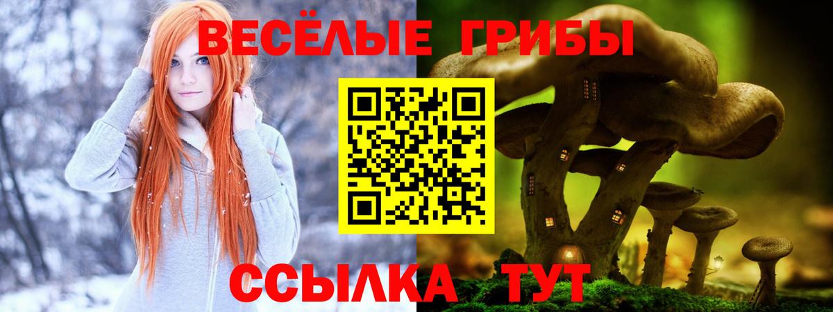 Галлюциногенные грибы Cubensis Павлово