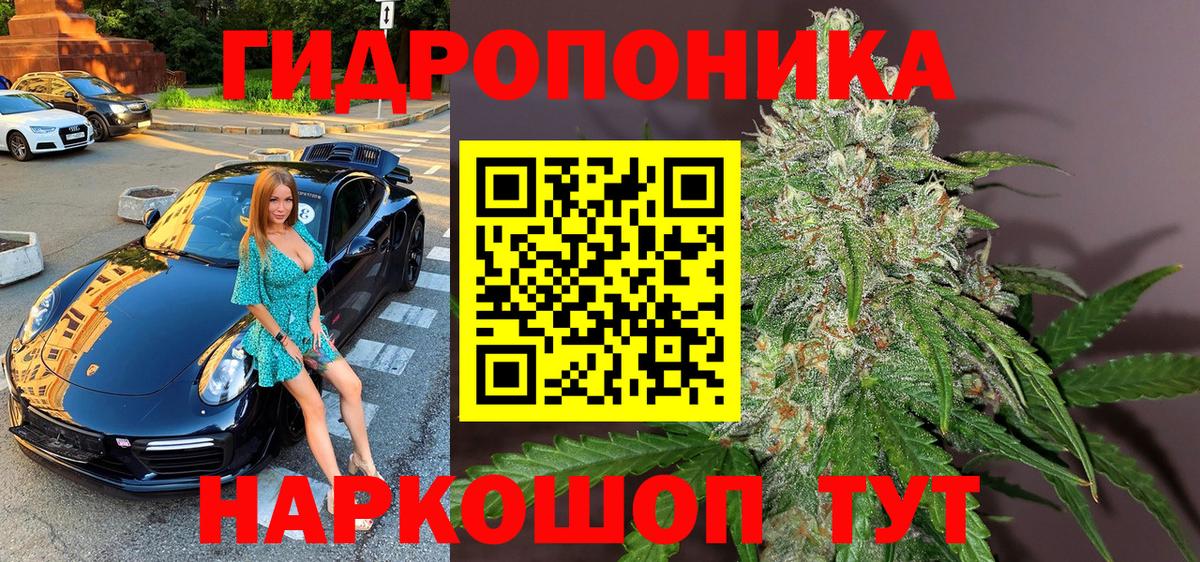 Каннабис сатива  Конопля THC 21%  Павлово  Вход с VPN 